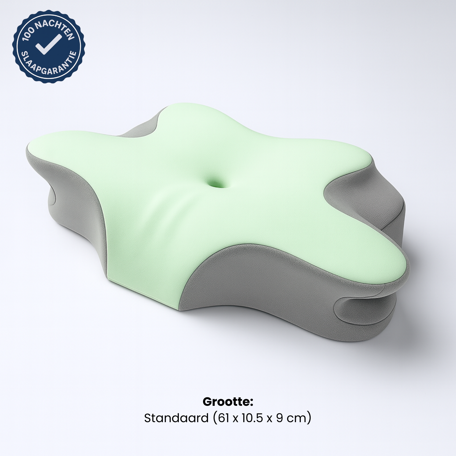 PillowPlush Memory Foam Pillow